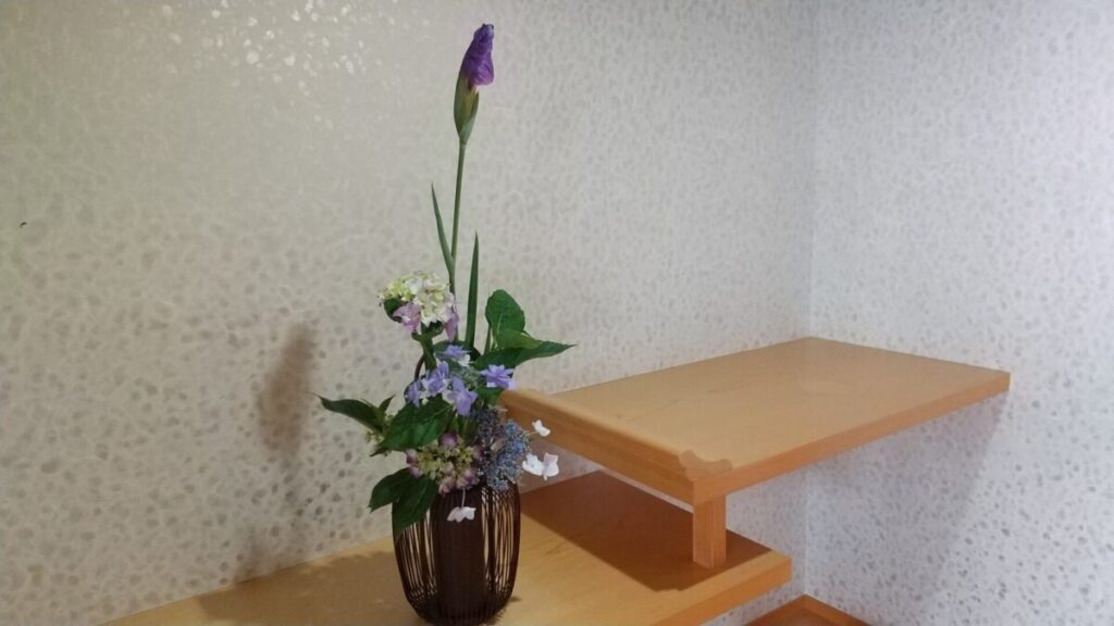 ショールームの紫陽花です