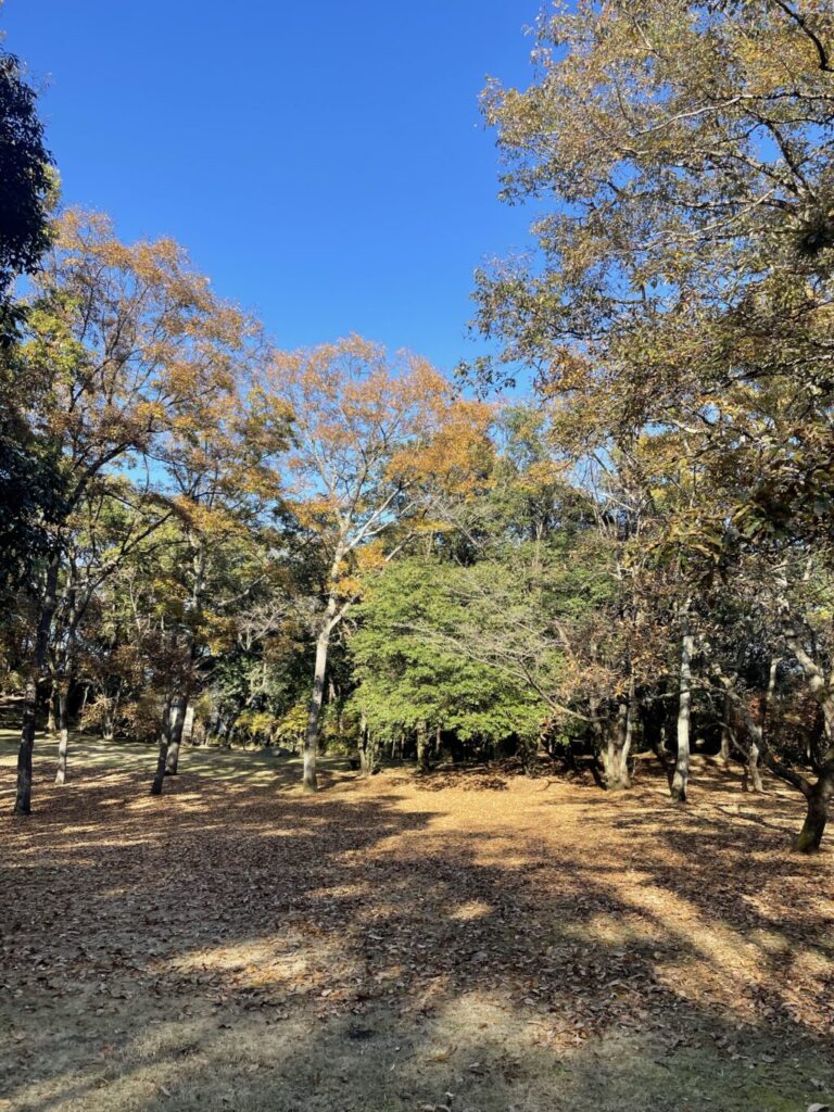 最近の休日の過ごし方