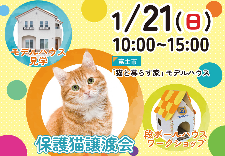 保護猫の譲渡会・モデルハウス見学会