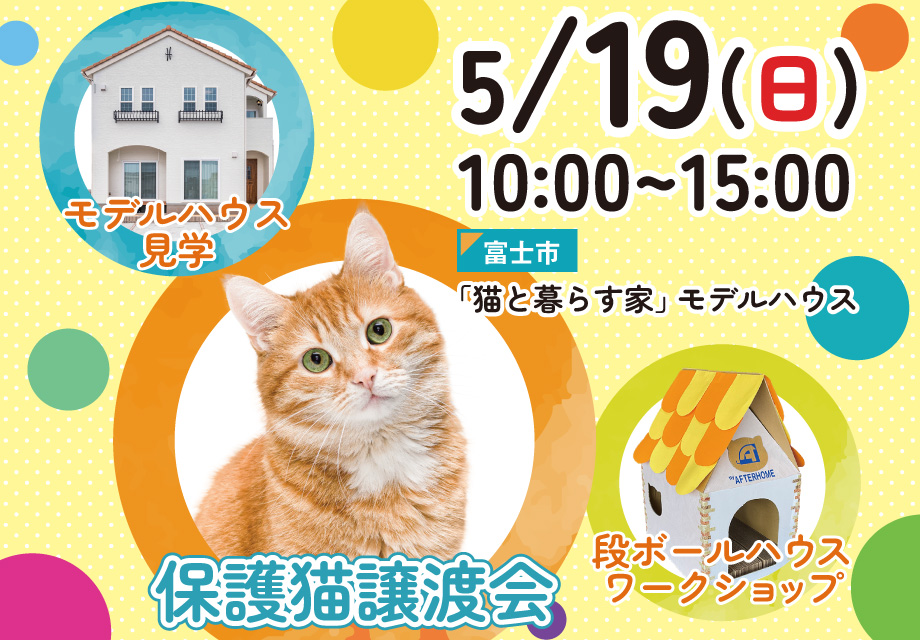 保護猫の譲渡会・モデルハウス見学会